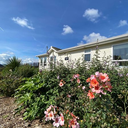 East Kitcham Lodge Launceston Bagian luar foto